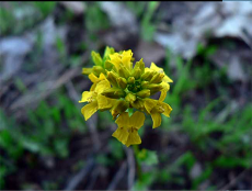 Our Great Wellness! - OurGreatWellness.com