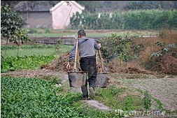 Flowery BuLLsHiT! - FloweryBuLLsHiT.com